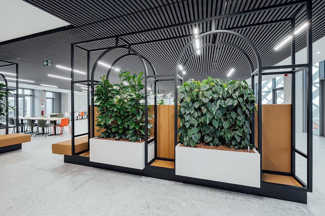 Planten in ingemaakte witte plantenbak in de kantoren van TVH