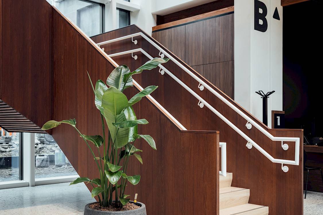 Strelitzia in betonnen zwarte pot aan houten trap Stadhuis Roeselare