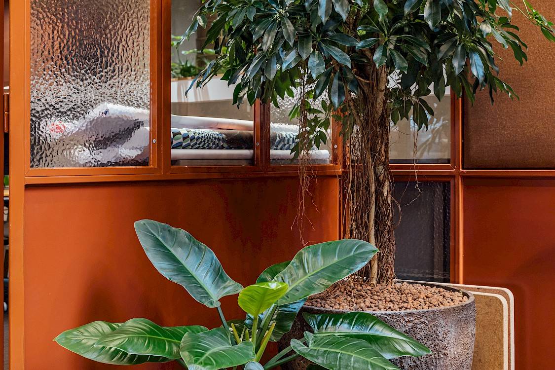 Kantoorplanten in oranje interieur bij Nextansa