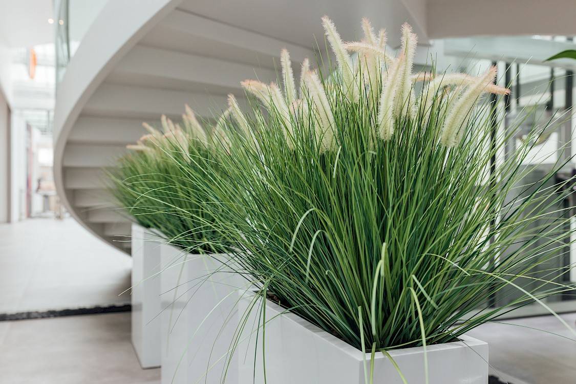 Kunstplanten siergrassen in witte bakken