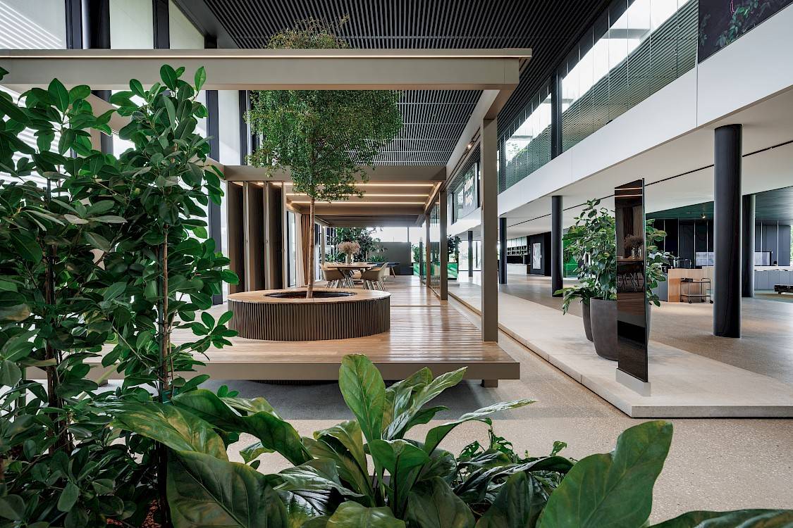 Binnentuin met boom in showroom NOA Renson